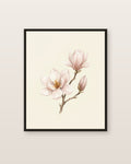 Magnolia — affiche botanique Lullae