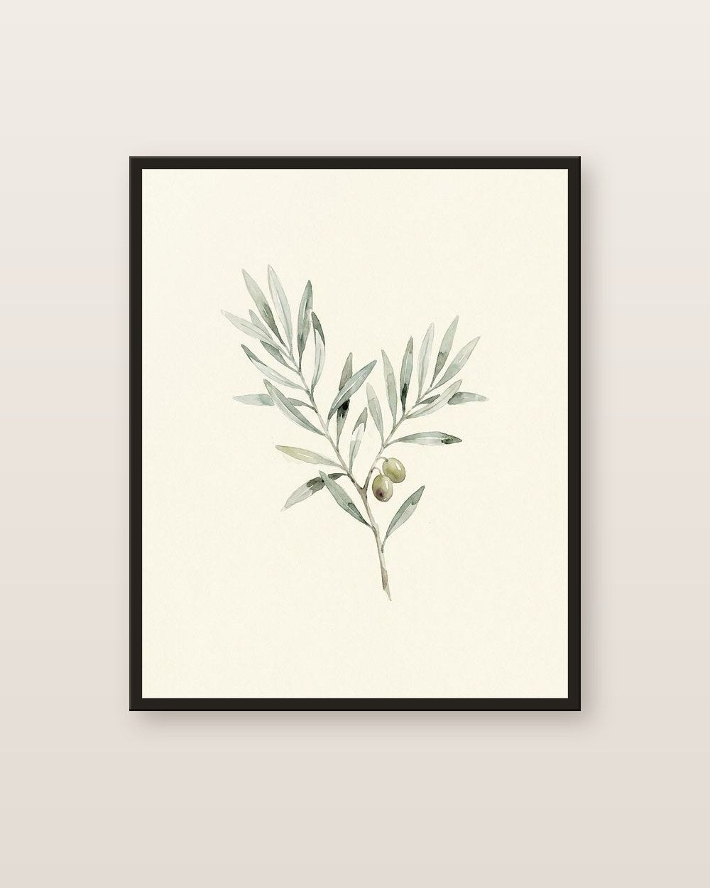 Olivier — affiche botanique Lullae