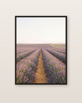 Le champ de lavande · panneau centre — affiche paysage Lullae